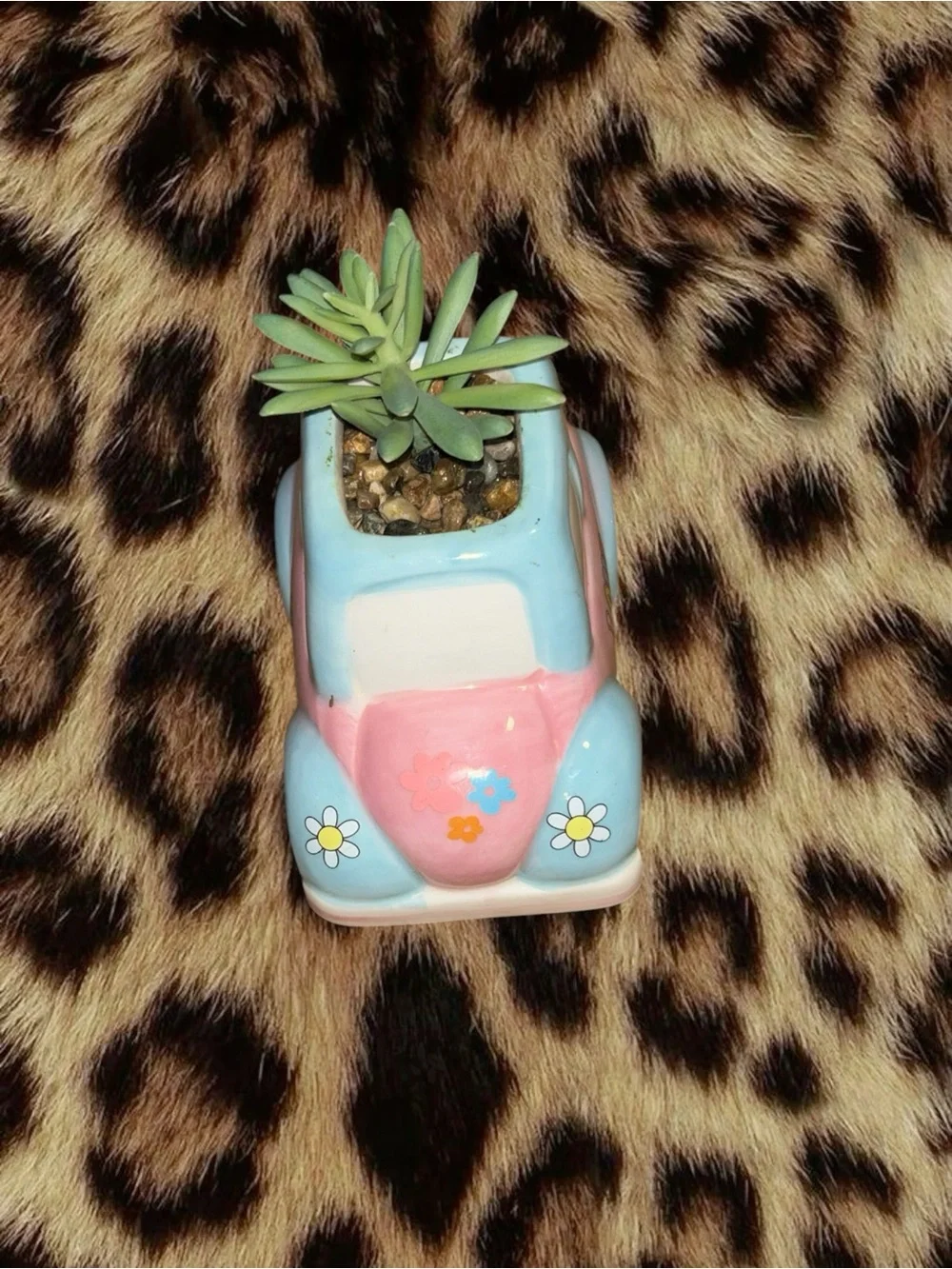 Car Decor Bundle (2 Items)